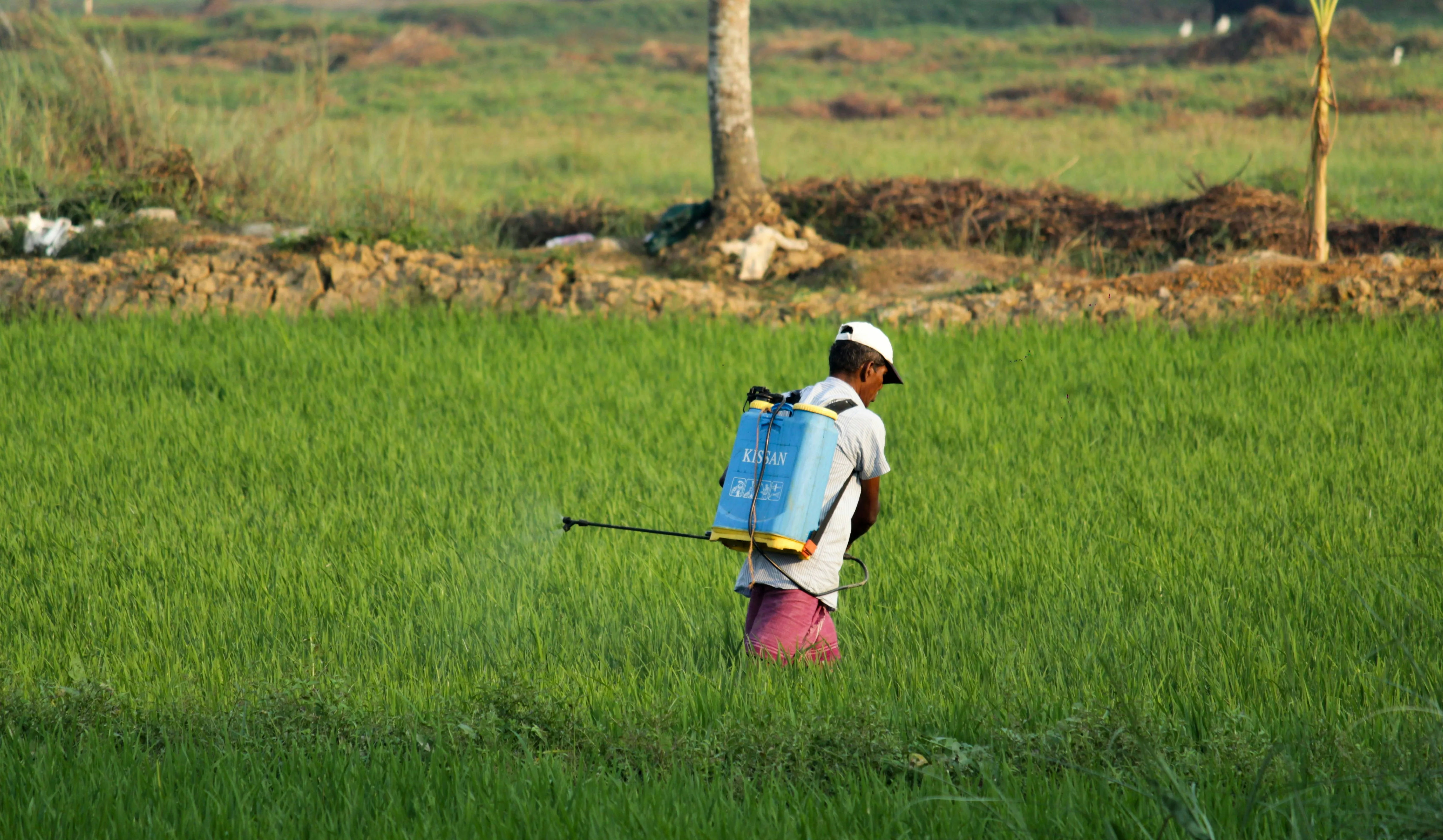 crop-planning